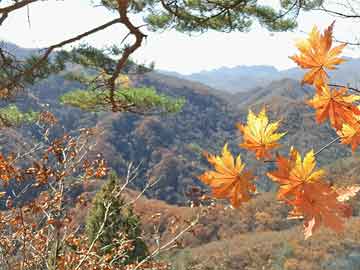 破解预付式消费领域堵点和痛点，最高法司法解释出台