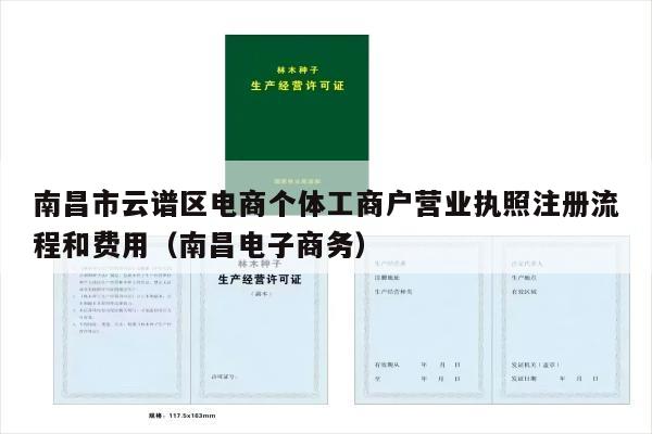 南昌市云谱区电商个体工商户营业执照注册流程和费用（南昌电子商务）