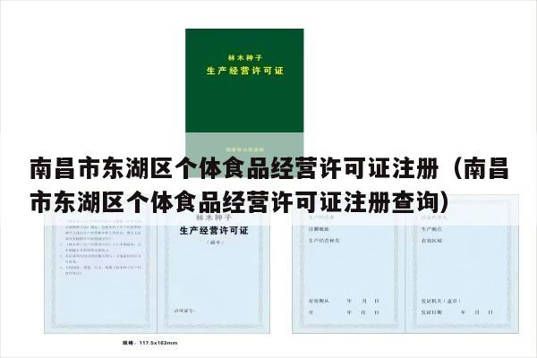 南昌市东湖区个体食品经营许可证注册（南昌市东湖区个体食品经营许可证注册查询）