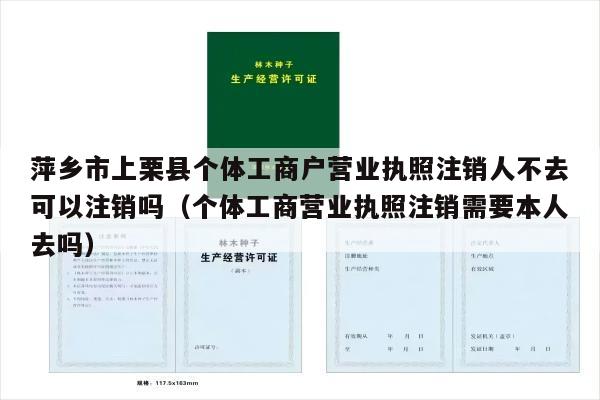 萍乡市上栗县个体工商户营业执照注销人不去可以注销吗（个体工商营业执照注销需要本人去吗）