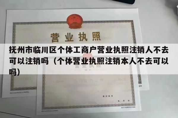 抚州市临川区个体工商户营业执照注销人不去可以注销吗（个体营业执照注销本人不去可以吗）