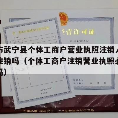 九江市武宁县个体工商户营业执照注销人不去可以注销吗（个体工商户注销营业执照必须本人去吗）