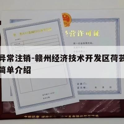 执照异常注销-赣州经济技术开发区荷芸百货店的简单介绍