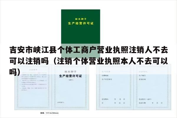 吉安市峡江县个体工商户营业执照注销人不去可以注销吗（注销个体营业执照本人不去可以吗）