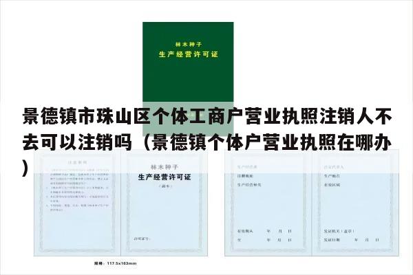 景德镇市珠山区个体工商户营业执照注销人不去可以注销吗（景德镇个体户营业执照在哪办）