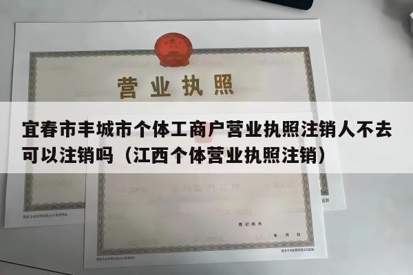 宜春市丰城市个体工商户营业执照注销人不去可以注销吗（江西个体营业执照注销）