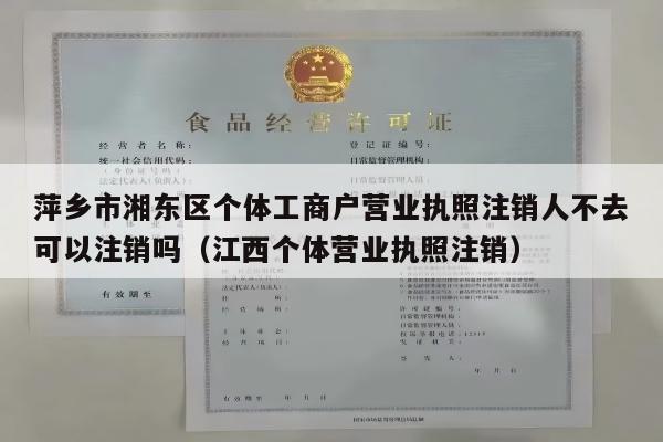 萍乡市湘东区个体工商户营业执照注销人不去可以注销吗（江西个体营业执照注销）