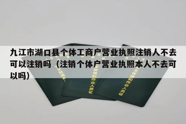 九江市湖口县个体工商户营业执照注销人不去可以注销吗（注销个体户营业执照本人不去可以吗）