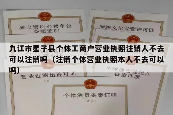 九江市星子县个体工商户营业执照注销人不去可以注销吗（注销个体营业执照本人不去可以吗）