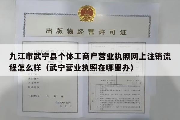 九江市武宁县个体工商户营业执照网上注销流程怎么样（武宁营业执照在哪里办）