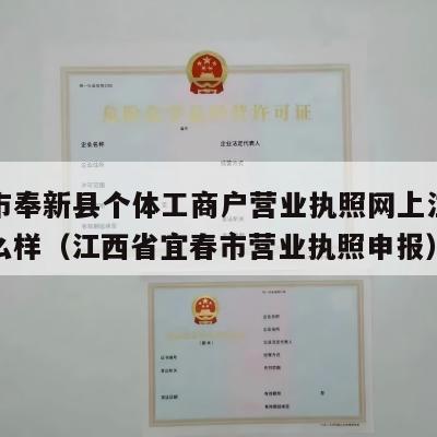 宜春市奉新县个体工商户营业执照网上注销流程怎么样（江西省宜春市营业执照申报）