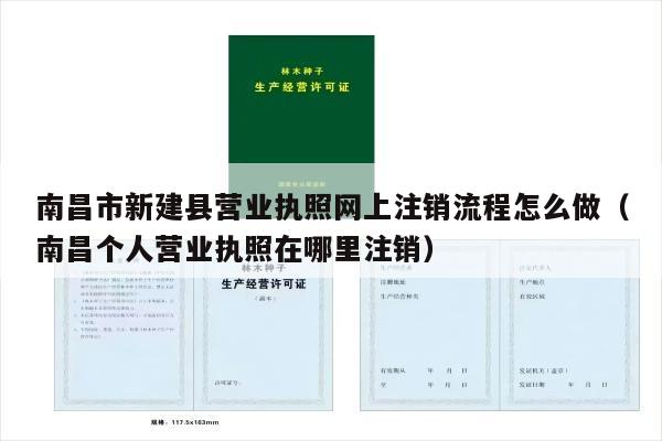 南昌市新建县营业执照网上注销流程怎么做（南昌个人营业执照在哪里注销）