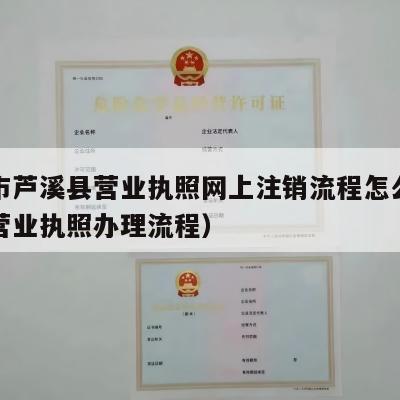 萍乡市芦溪县营业执照网上注销流程怎么办（萍乡营业执照办理流程）