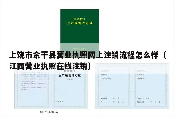 上饶市余干县营业执照网上注销流程怎么样（江西营业执照在线注销）