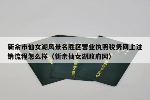 新余市仙女湖风景名胜区营业执照税务网上注销流程怎么样（新余仙女湖政府网）