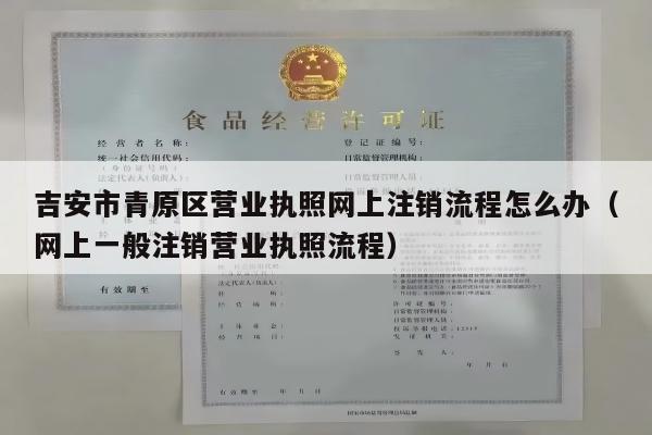 吉安市青原区营业执照网上注销流程怎么办（网上一般注销营业执照流程）