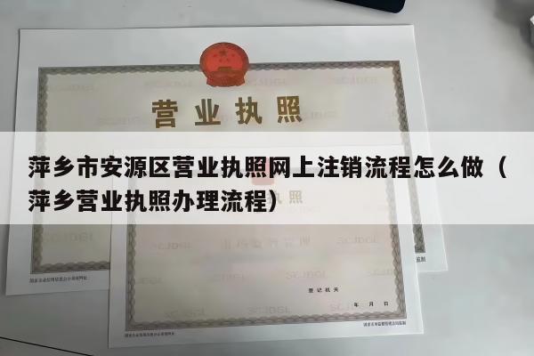 萍乡市安源区营业执照网上注销流程怎么做（萍乡营业执照办理流程）