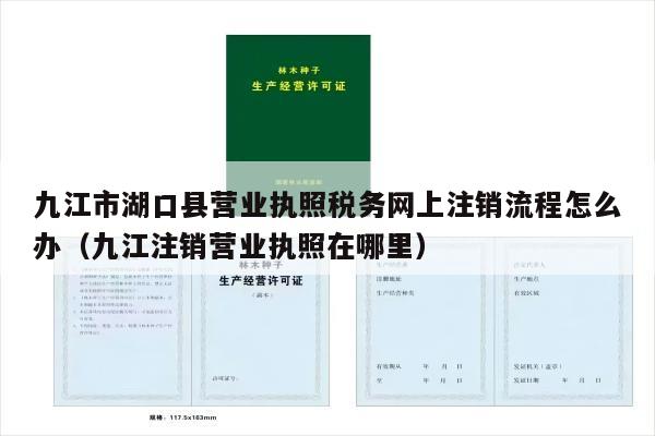 九江市湖口县营业执照税务网上注销流程怎么办（九江注销营业执照在哪里）