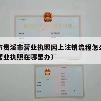 鹰潭市贵溪市营业执照网上注销流程怎么办（贵溪营业执照在哪里办）