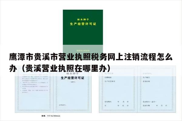 鹰潭市贵溪市营业执照税务网上注销流程怎么办（贵溪营业执照在哪里办）