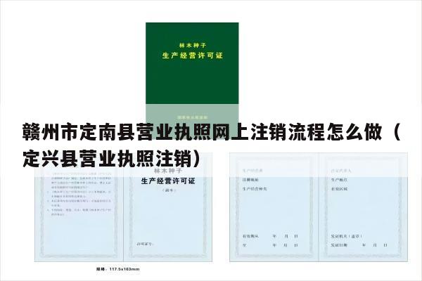 赣州市定南县营业执照网上注销流程怎么做（定兴县营业执照注销）