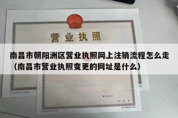 南昌市朝阳洲区营业执照网上注销流程怎么走（南昌市营业执照变更的网址是什么）