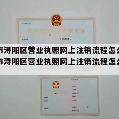 九江市浔阳区营业执照网上注销流程怎么样（九江市浔阳区营业执照网上注销流程怎么样查询）