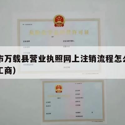 宜春市万载县营业执照网上注销流程怎么样（万载工商）