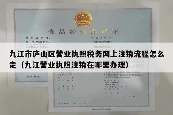 九江市庐山区营业执照税务网上注销流程怎么走（九江营业执照注销在哪里办理）