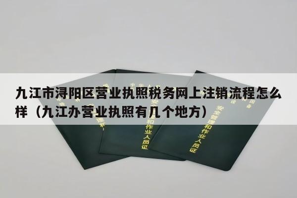 九江市浔阳区营业执照税务网上注销流程怎么样（九江办营业执照有几个地方）