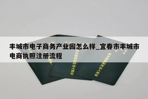 丰城市电子商务产业园怎么样_宜春市丰城市电商执照注册流程