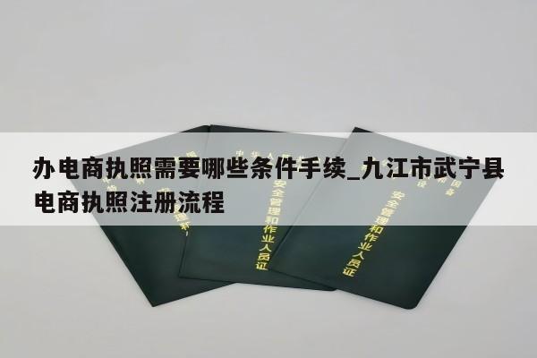 办电商执照需要哪些条件手续_九江市武宁县电商执照注册流程