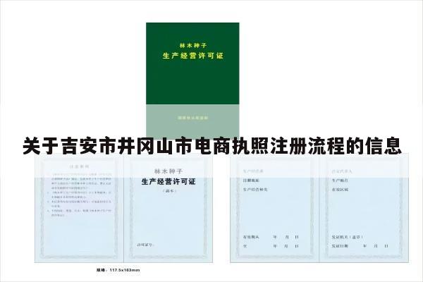 关于吉安市井冈山市电商执照注册流程的信息