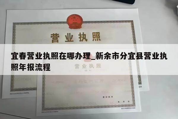 宜春营业执照在哪办理_新余市分宜县营业执照年报流程