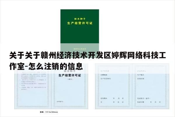 关于关于赣州经济技术开发区婷辉网络科技工作室-怎么注销的信息