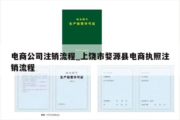 电商公司注销流程_上饶市婺源县电商执照注销流程