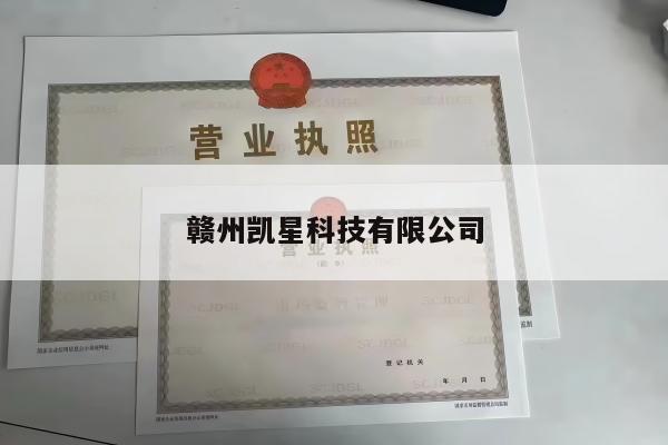 赣州凯星科技有限公司