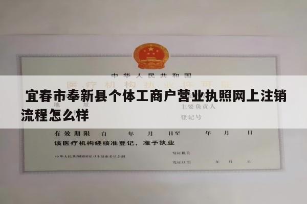  宜春市奉新县个体工商户营业执照网上注销流程怎么样