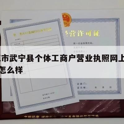  九江市武宁县个体工商户营业执照网上注销流程怎么样