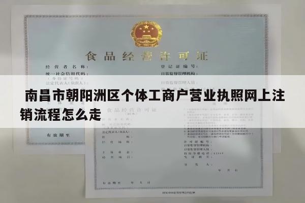  南昌市朝阳洲区个体工商户营业执照网上注销流程怎么走