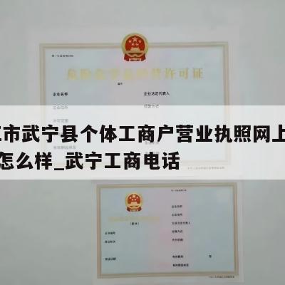  九江市武宁县个体工商户营业执照网上注销流程怎么样_武宁工商电话