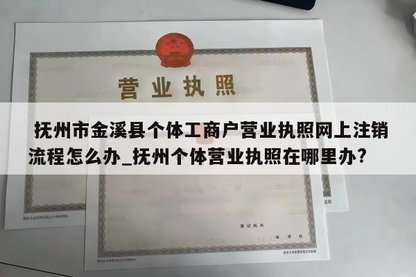  抚州市金溪县个体工商户营业执照网上注销流程怎么办_抚州个体营业执照在哪里办?