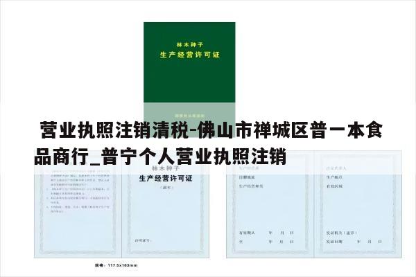  营业执照注销清税-佛山市禅城区普一本食品商行_普宁个人营业执照注销