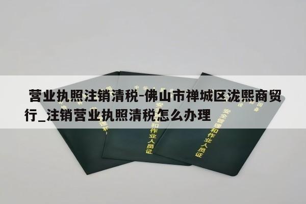  营业执照注销清税-佛山市禅城区泷熙商贸行_注销营业执照清税怎么办理