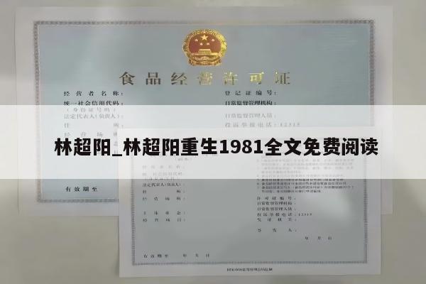  林超阳_林超阳重生1981全文免费阅读