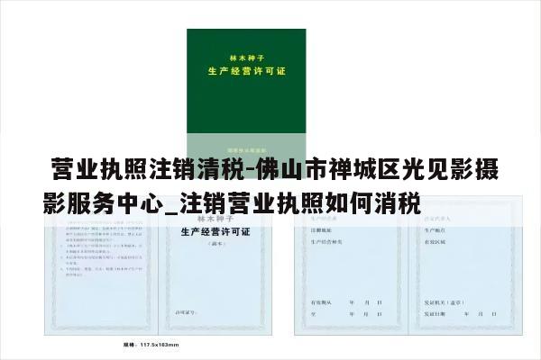  营业执照注销清税-佛山市禅城区光见影摄影服务中心_注销营业执照如何消税