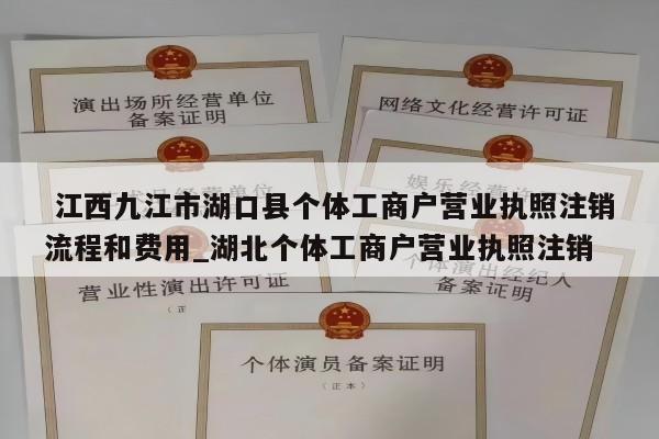  江西九江市湖口县个体工商户营业执照注销流程和费用_湖北个体工商户营业执照注销