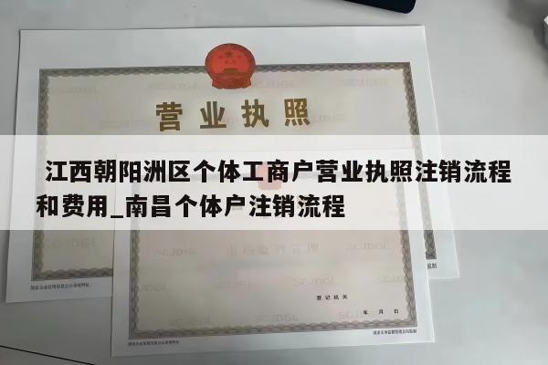  江西朝阳洲区个体工商户营业执照注销流程和费用_南昌个体户注销流程