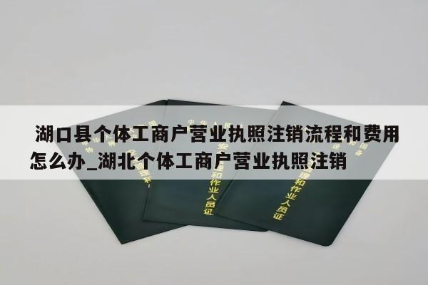  湖口县个体工商户营业执照注销流程和费用怎么办_湖北个体工商户营业执照注销