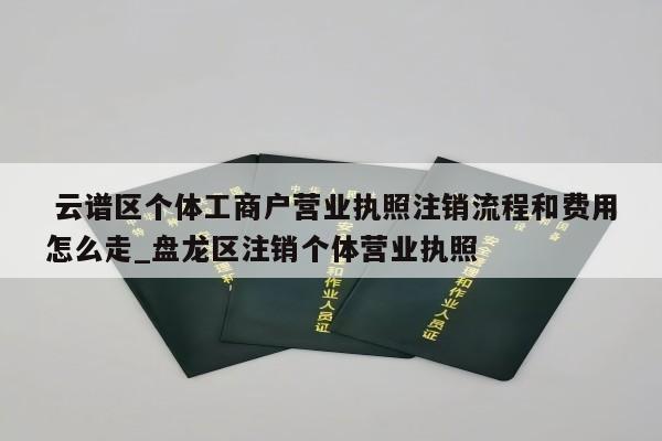  云谱区个体工商户营业执照注销流程和费用怎么走_盘龙区注销个体营业执照